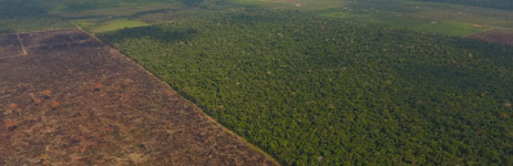 先進的レーダー衛星及びAI技術を用いたブラジルアマゾンにおける違法森林伐採管理改善プロジェクト
