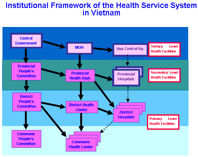 Institutional Framework of the Health Service System in Vietnam