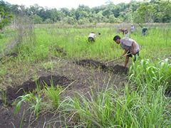 Taman Nasional Manupeu Tanah Daru Ntt Pulau Sumba
