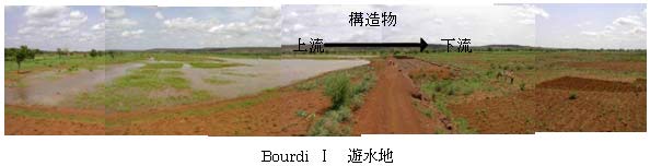 Bourdi?@Vn