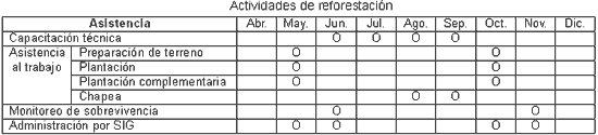 Actividades de reforestación