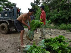 13年に植林地が更に拡大 北西部水源地域における持続可能な森林管理プロジェクト 技術協力プロジェクト 事業 プロジェクト Jica