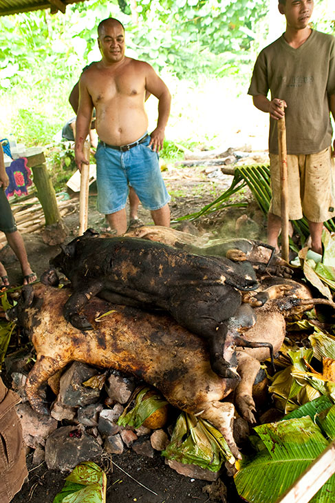 カマテップ（冠婚葬祭）の儀式では豚の丸焼きが振る舞われていた