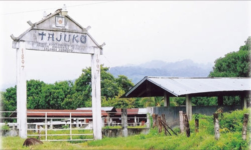 Finca Tajuko