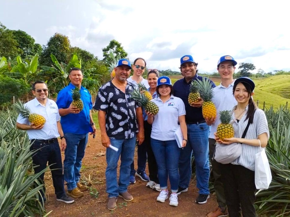 Visita a cliente de MIPYME agrícola