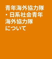 青年海外協力隊・日系社会青年海外協力隊について