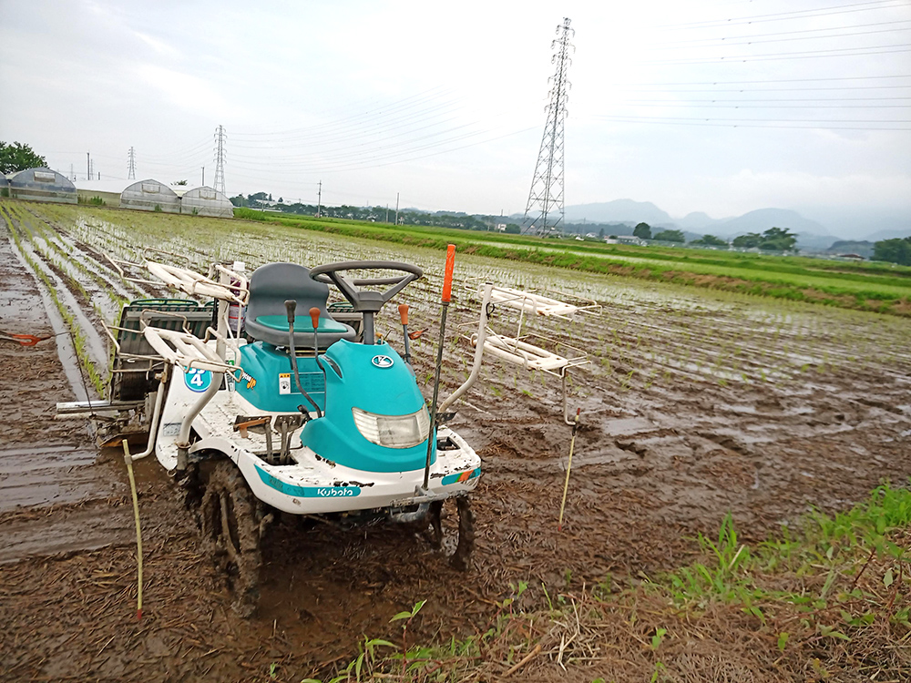 初めて運転した田植え機