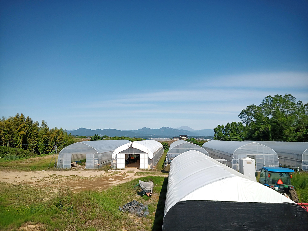 農園から見える妙義山