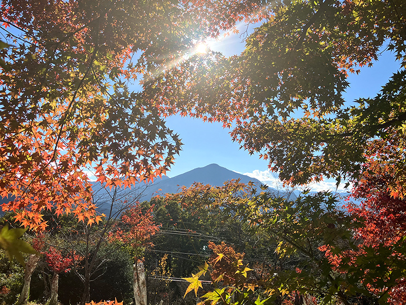 紅葉ごしの武甲山