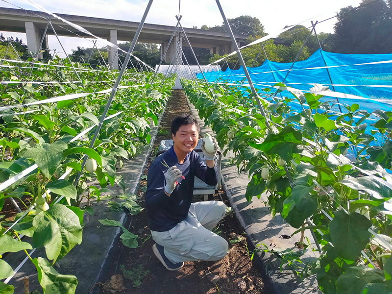 野菜を収穫する吉井さん（甘楽町）