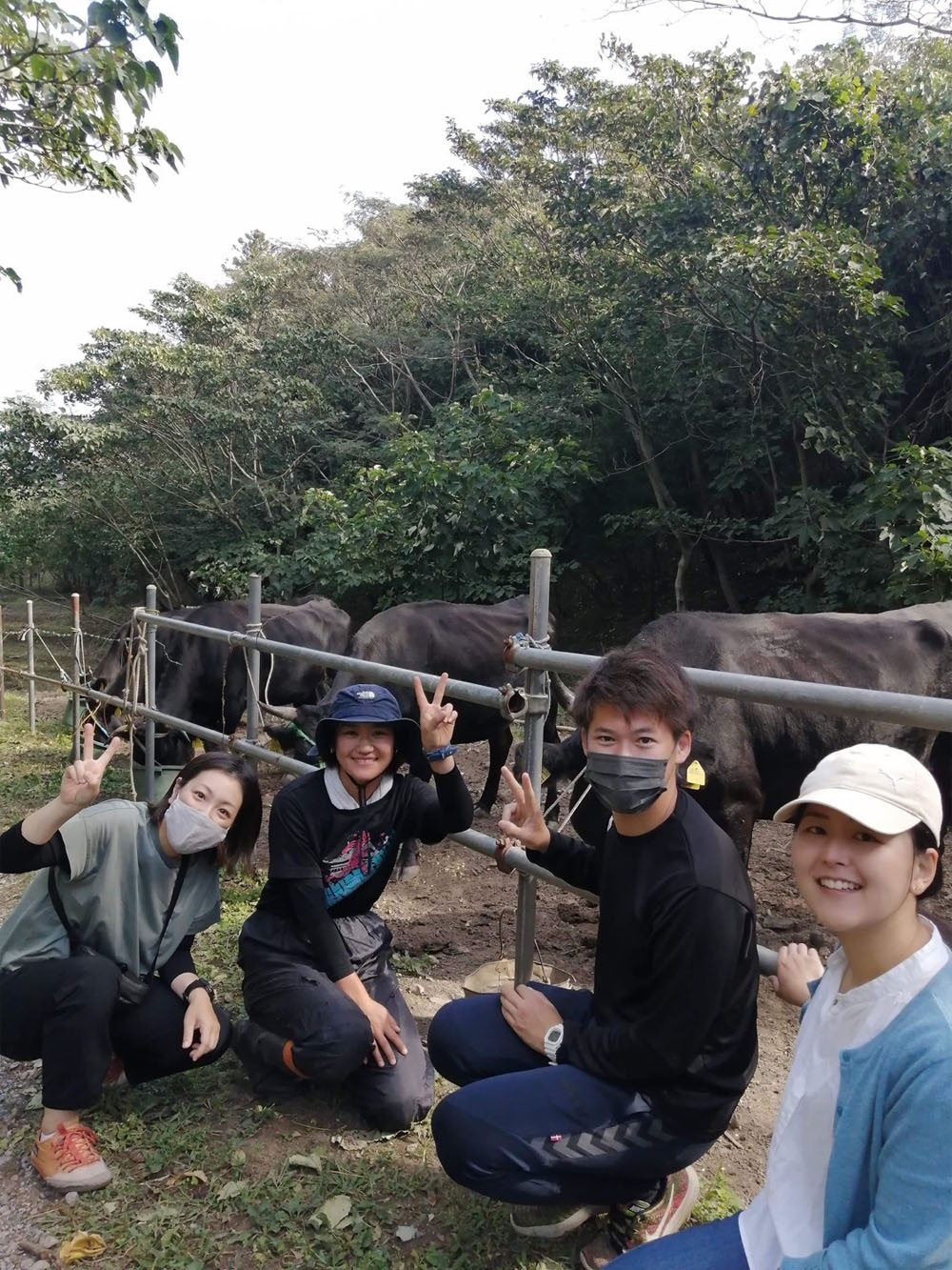 牧場の牛と一緒に海士町グローカルのメンバーで写真を撮った一コマ