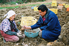 日本の農業を学びに来た海外からの研修生