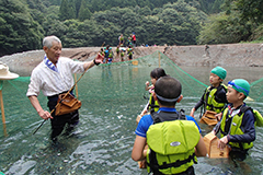 アユを捕まえる伝統漁法「しゃくり」の様子