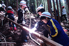 林業体験中の小学生たち