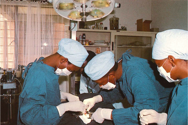 ザンビア大学獣医学部での手術研修の様子