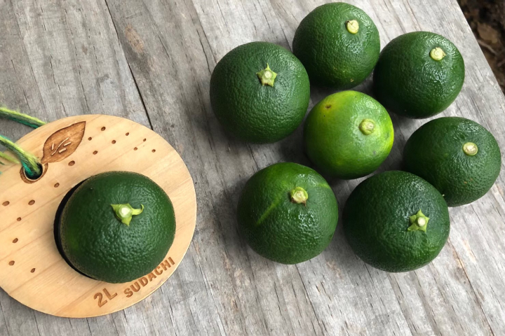 神山特産のすだち