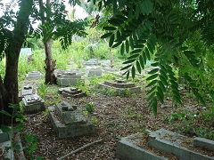 1980年代初頭に亡くなった人々を祀る墓＝マヌファヒ県