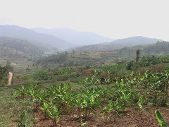 ルワンダは「千の丘の国」とも呼ばれる