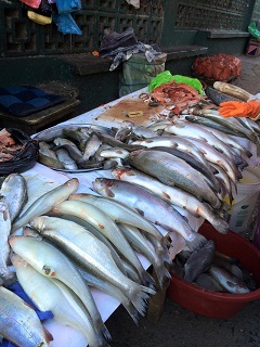 ラパスの市場で売られているニジマスなどの魚。その場でおろして売ってもらえる
