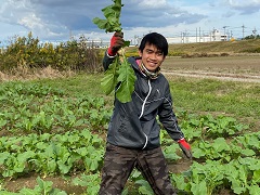 農園たやでは、同社スタッフがJICA海外協力隊の民間連携で派遣されるインドネシア・タンジュンサリ農業高校の卒業生を技能実習生として迎え、参加した若者を「考える農民」へと変えていく