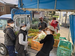 取れたて野菜の出荷作業