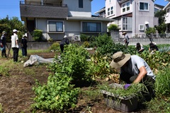 畑で作業する人たち