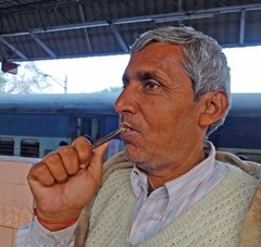 インドではニームという木の枝が売られていて、人々はそれを使って歯を磨く。「歯木と呼ばれ、2500年前に釈迦が広めた習慣です」（河野さん）