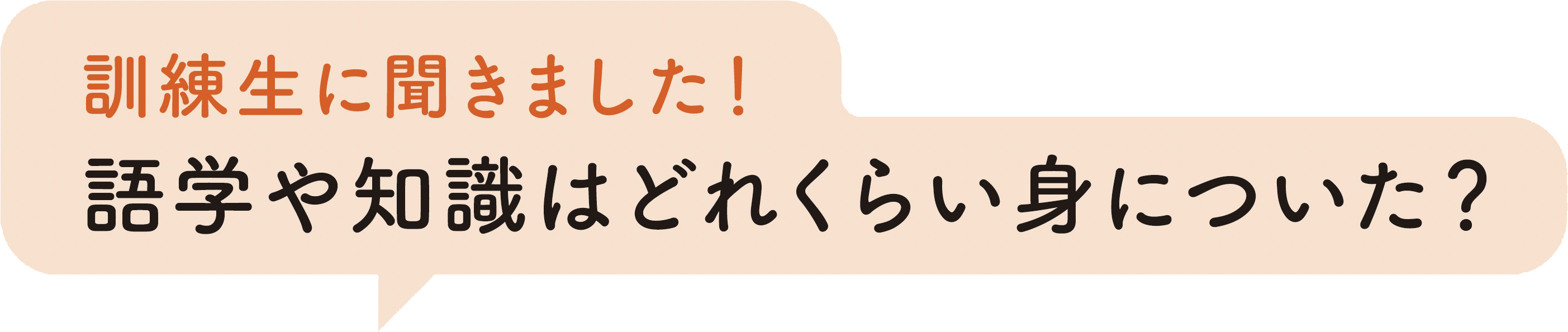 訓練生に聞きました！語学や知識はどれくらい身についた？