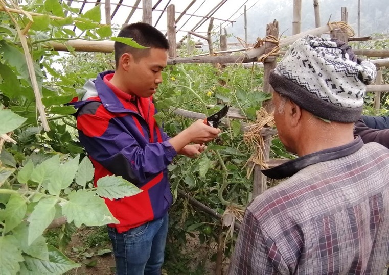 就職ストーリー