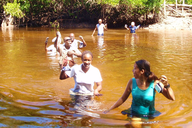 歴史に息づく隊員の奮闘   TICADと協力隊
