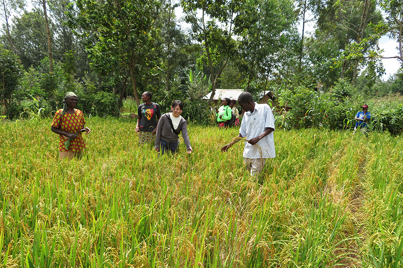 歴史に息づく隊員の奮闘   TICADと協力隊