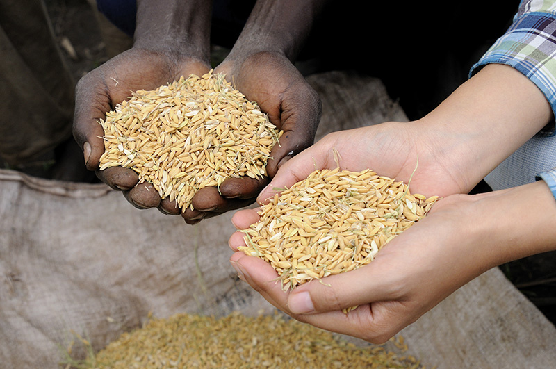 歴史に息づく隊員の奮闘   TICADと協力隊