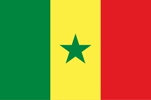 任地の食生活に彩りを！隊員めし