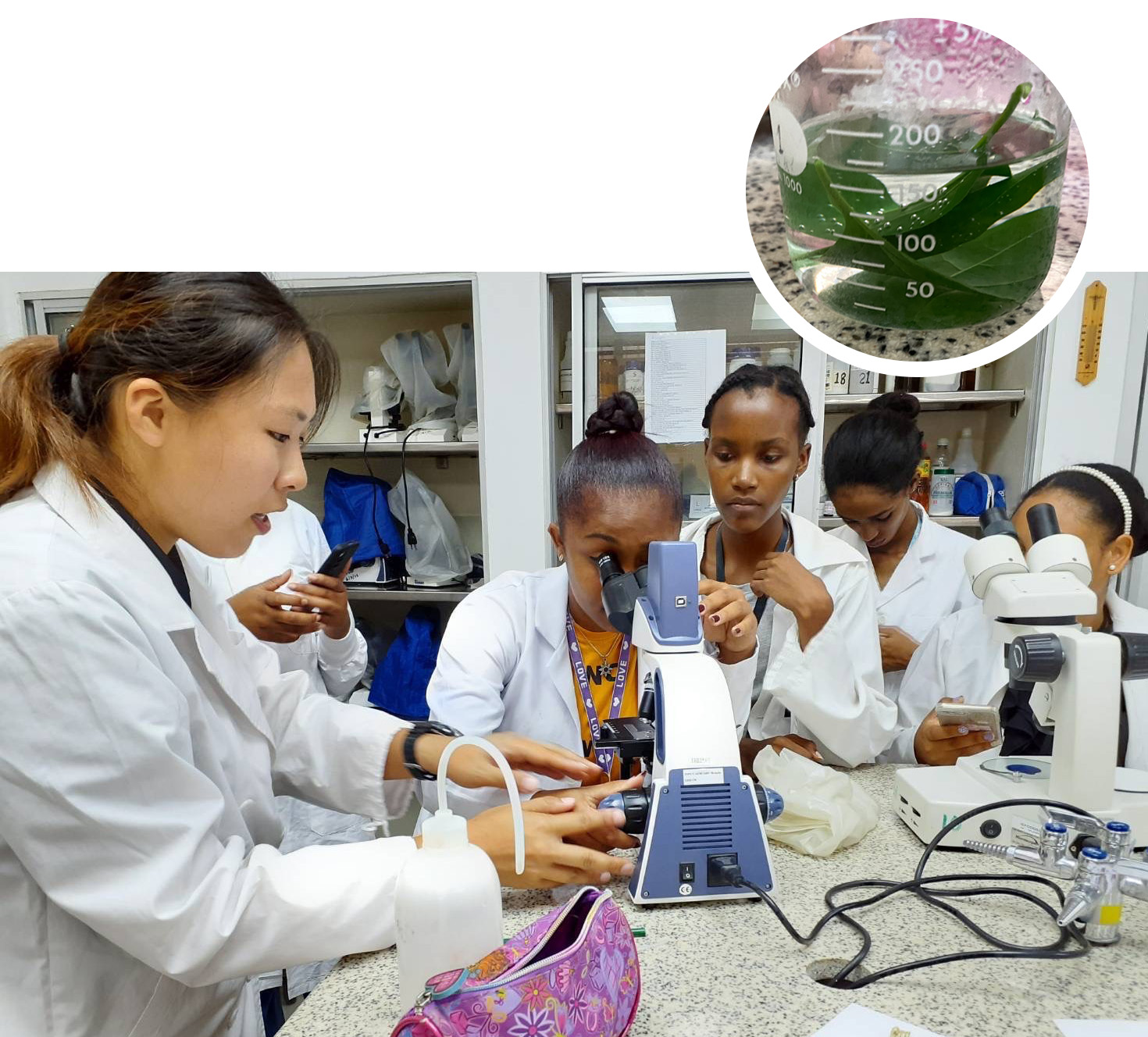 ピックアップ | パンフレット | JICA海外協力隊