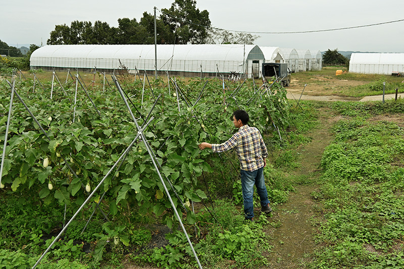 日本の地方から多文化の懸け橋に！   地域とつながる協力隊員