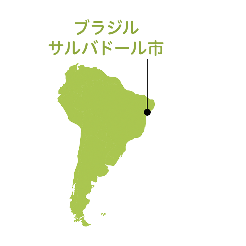 協力隊経験者に聞きました！あなたの帰国後の進路は？