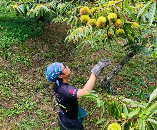 協力隊経験者に聞きました！あなたの帰国後の進路は？