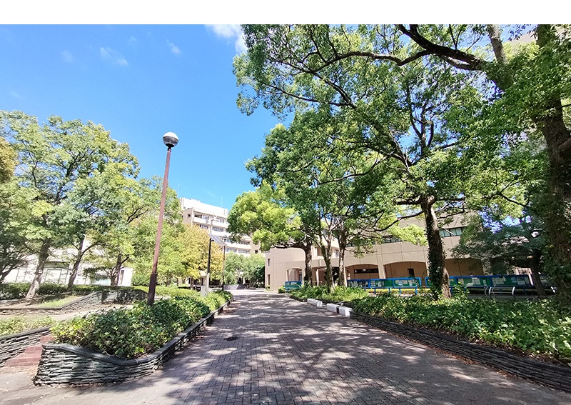 協力隊事業を応援してくれる方々を知ろう！各界の応援者に伺う協力隊の魅力