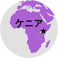 協力隊経験者に聞きました!あなたの帰国後の進路は?