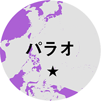 協力隊経験者に聞きました!あなたの帰国後の進路は?