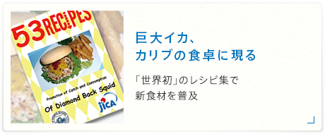 巨大イカ、カリブの食卓に現る