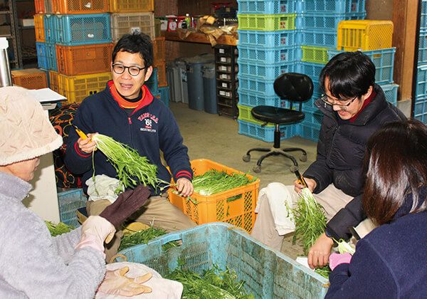 収穫した野菜の仕分け作業中も話すことといえば「野菜について」。スタッフ一同、寝ても覚めても野菜が好きでたまらないのだ。