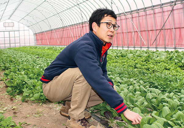 天候不良が続く昨今、暑さや水の量などに気を配るなど、葉物野菜の栽培は苦労の連続だ。しかし、その難しさが醍醐味でもある。