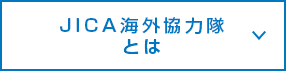 JICA海外協力隊とは