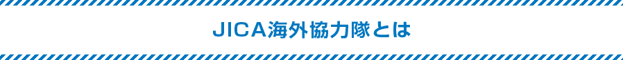 JICA海外協力隊とは