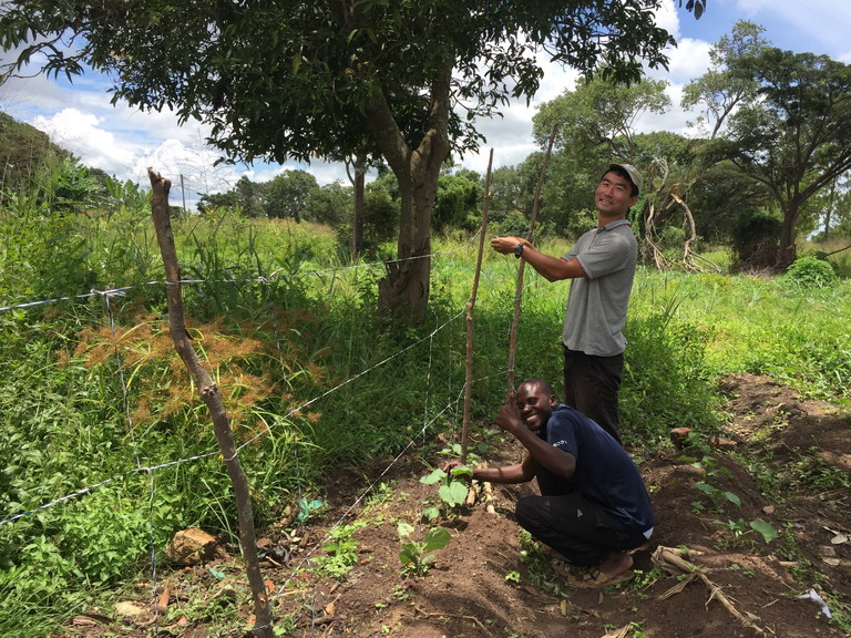 ザンビアで野菜栽培隊員として活動した龍さん